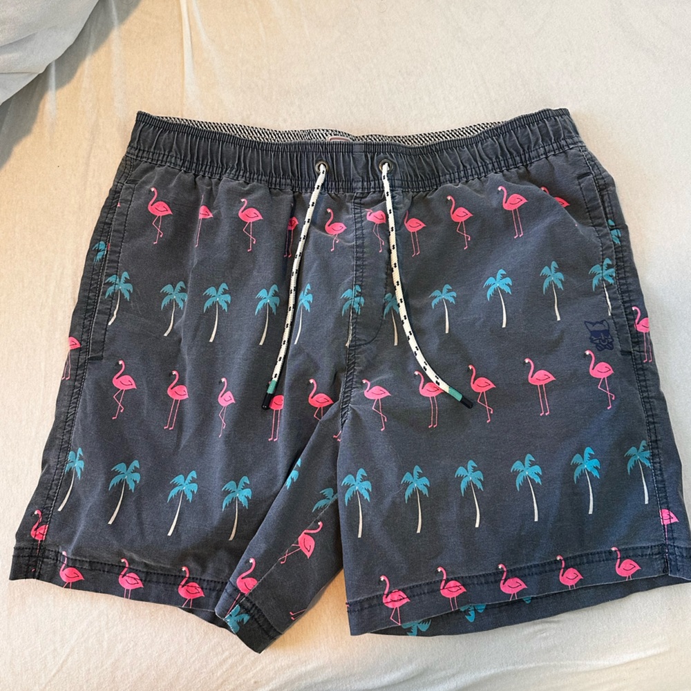 Men’s Party Pants Flamingo and Palm Tree Print Swim Shorts